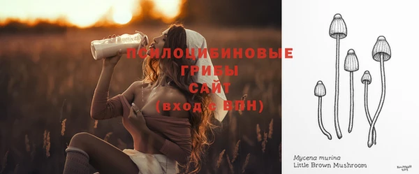 винт Верея