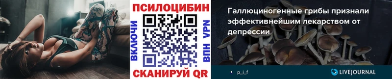 Псилоцибиновые грибы Psilocybe  Кириллов 